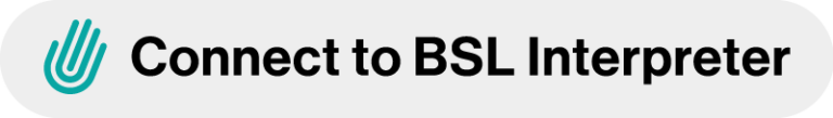bsl interpreter icon